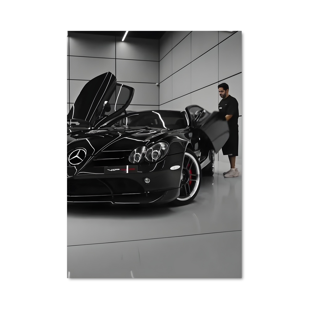 Poster appareil photo chic